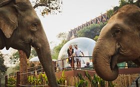Anantara Golden Triangle Elephant Camp